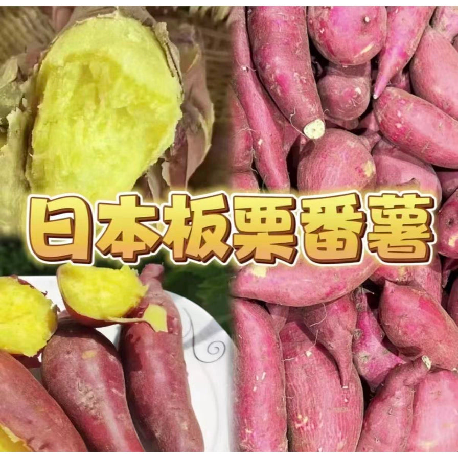 日本板栗番薯的拼图，展示了掰开后的金黄果肉、成堆的紫皮地瓜以及装在盘子里的熟地瓜，中间带有“日本板栗番薯”艺术字。